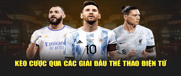 Khám Phá Thể Thao 79WIN: Nền Tảng Cá Cược Hàng Đầu Việt Nam